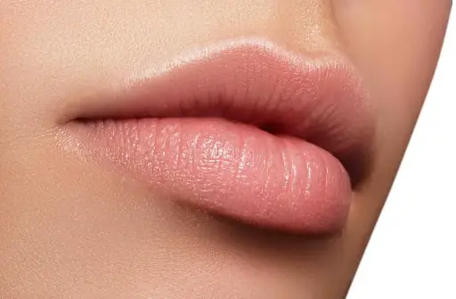 Diseño De Labios